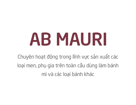 slide_vn_2